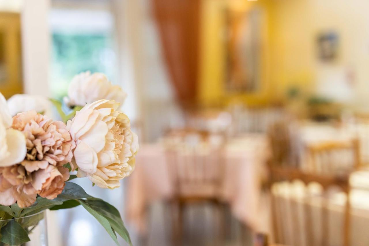 Hotel Alfa Tao Riccione Zewnętrze zdjęcie